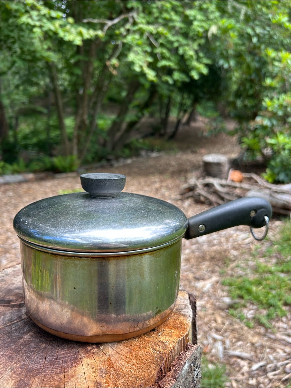 Revere Ware 6" Copper Clad Stainless Steel Saucepan with Black Handle and Lid